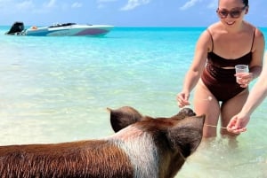 Nassau: Zwemmende varkens, snorkelen met schildpadden Lunch Beach Club