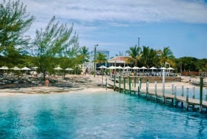 Nassau: Rose Island Swimming Pigs and Beach Day Group Tour: Rose Island Swimming Pigs and Beach Day Group Tour