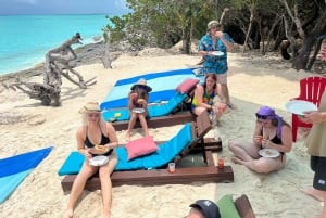 Nassau: Pływanie ze świniami, oglądanie żółwi, nurkowanie z rurką i lunch