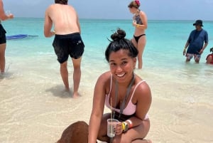 Nassau: Svømmende griser, skilpaddevisning, snorkling og lunsj