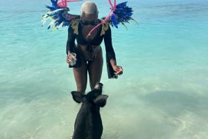 Nassau: Svømmende griser, skilpaddevisning, snorkling og lunsj