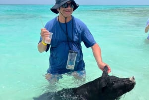Nassau: Sikojen uiminen, kilpikonnien katselu, snorklaus ja lounas.