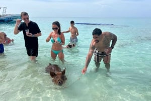 Nassau: Cerdos Nadadores, Avistamiento de Tortugas, Snorkel y Almuerzo