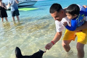 Nassau: Cerdos Nadadores, Avistamiento de Tortugas, Snorkel y Almuerzo