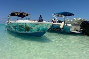 Nassau: Swimming Pigs, Turtle Viewing, Snorkeling, and Lunch