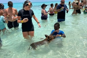 Nassau: Cerdos, Snorkel, Tortugas, Almuerzo, Club de Playa Privado