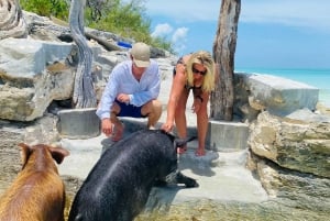 Nassau: Cerdos, Snorkel, Tortugas, Almuerzo, Club de Playa Privado