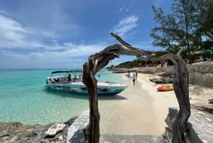 Nassau: Cerdos, Snorkel, Tortugas, Almuerzo, Club de Playa Privado