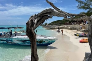 Nassau: Cerdos, Snorkel, Tortugas, Almuerzo, Club de Playa Privado