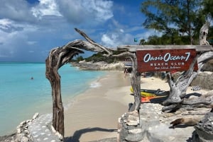 Nassau: Cerdos, Snorkel, Tortugas, Almuerzo, Club de Playa Privado