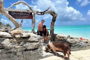 Nassau: Cerdos, Snorkel, Tortugas, Almuerzo, Club de Playa Privado