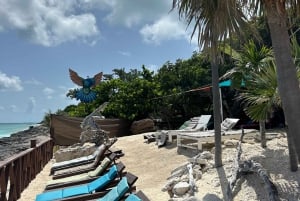 Nassau: Cerdos, Snorkel, Tortugas, Almuerzo, Club de Playa Privado