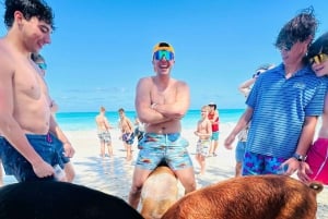 Nassau: Cerdos, Snorkel, Tortugas, Almuerzo, Club de Playa Privado