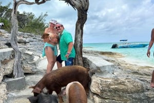 Nassau: Cerdos, Snorkel, Tortugas, Almuerzo, Club de Playa Privado