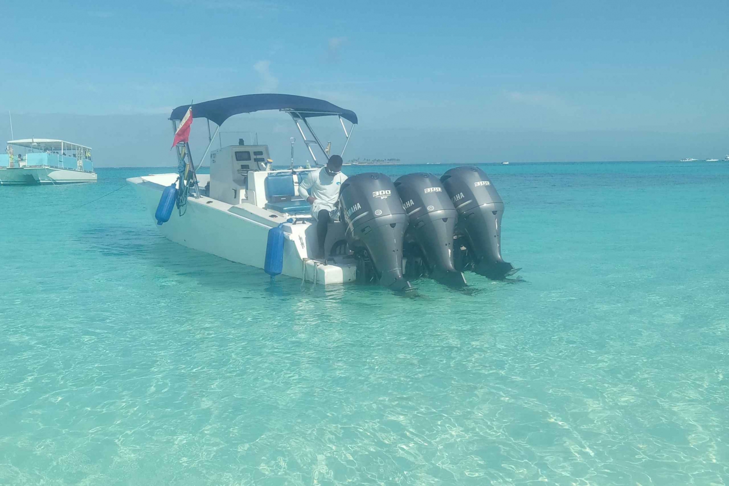 Nassau:Swimming pigs, turtles, reef snorkeling by speedboat