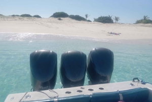 Nassau:Swimming pigs, turtles, reef snorkeling by speedboat