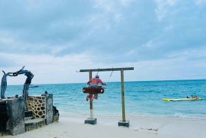 Nassau: Swimming Pigs, Turtles, Snorkel & Lunch