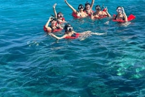 Nassau: Swimming Pigs, Turtles, Snorkel & Lunch