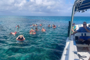 Nassau: Swimming Pigs, Turtles, Snorkel & Lunch