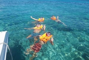 Nassau: Nadar con cerdos, snorkel y tour turístico