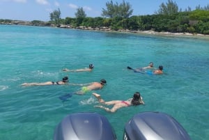 Nassau: Zwemmen met varkens, snorkelen en sightseeingtour