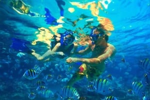 Nassau: il pacchetto completo per l'avventura definitiva negli sport acquatici