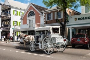 Nassau: Passeio turístico pela cidade com degustação de bolo de rum