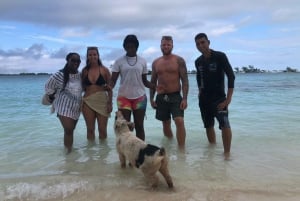 Nassau: Snorkling Snorkling, Pig Beach, simma med sköldpaddor och lunch