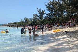 Nassau: Snorkeling, plaża dla świń, pływanie z żółwiami i lunch