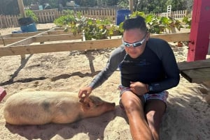 Nassau: Trip to Pig Beach and 3 Snorkeling Stops with Lunch