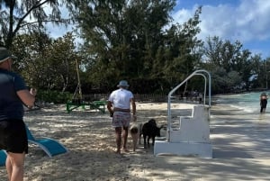 Nassau: Snorkling Snorkling, Pig Beach, simma med sköldpaddor och lunch