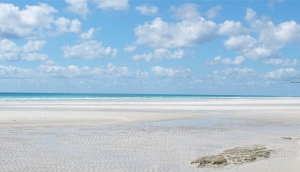 North Beach