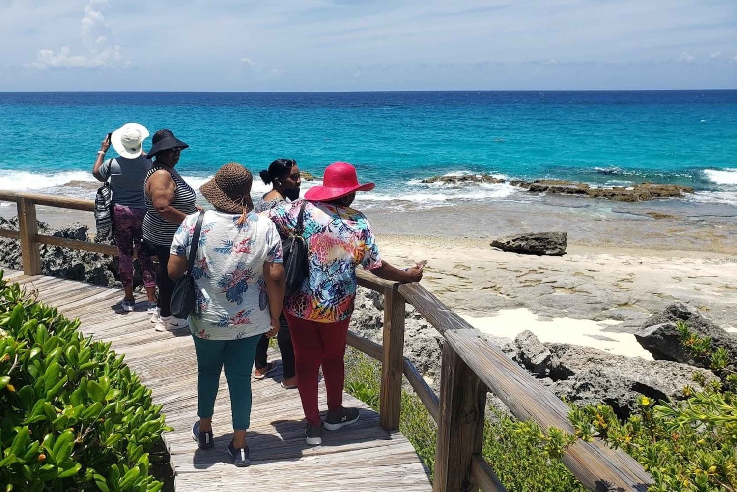 Landtour Noord Long Island 3 uur met gids