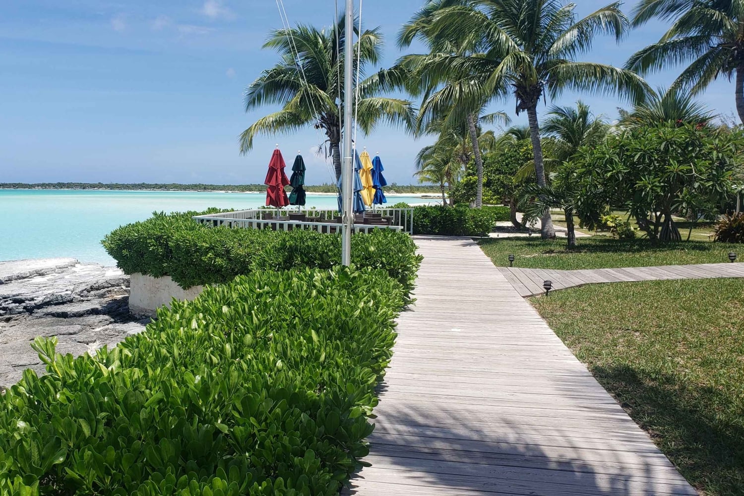 Landtour Noord Long Island 3 uur met gids