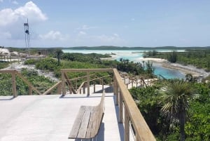 Landtour Noord Long Island 3 uur met gids