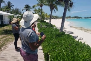 Landtour Noord Long Island 3 uur met gids