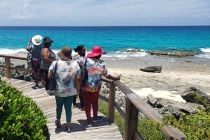 Landtour Noord Long Island 3 uur met gids