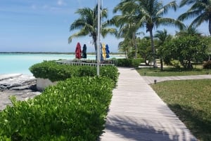 Landtour Noord Long Island 3 uur met gids