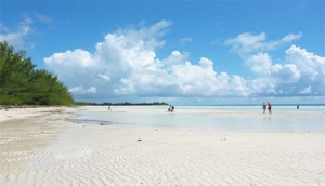 Ocean Reef Yacht Club