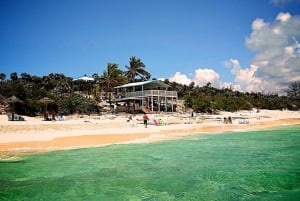 Paradijseiland: Rose Island Tour met Zwemmende Varkens & Lunch