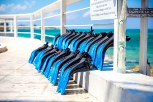 Plaża Pearl Island: całodniowe nurkowanie z rurką z lunchem