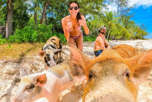 Pearl Island: Pigs Beach with Lunch