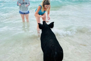 Perfect Day - Swimming Pigs, Snorkel & Beach Club