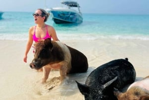 Perfect Day - Swimming Pigs, Snorkel & Beach Club