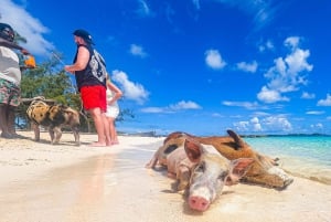 Nassau: ISOLA DELLE ROSE PERFETTA PER LE VACANZE DI GRUPPO IN SPIAGGIA