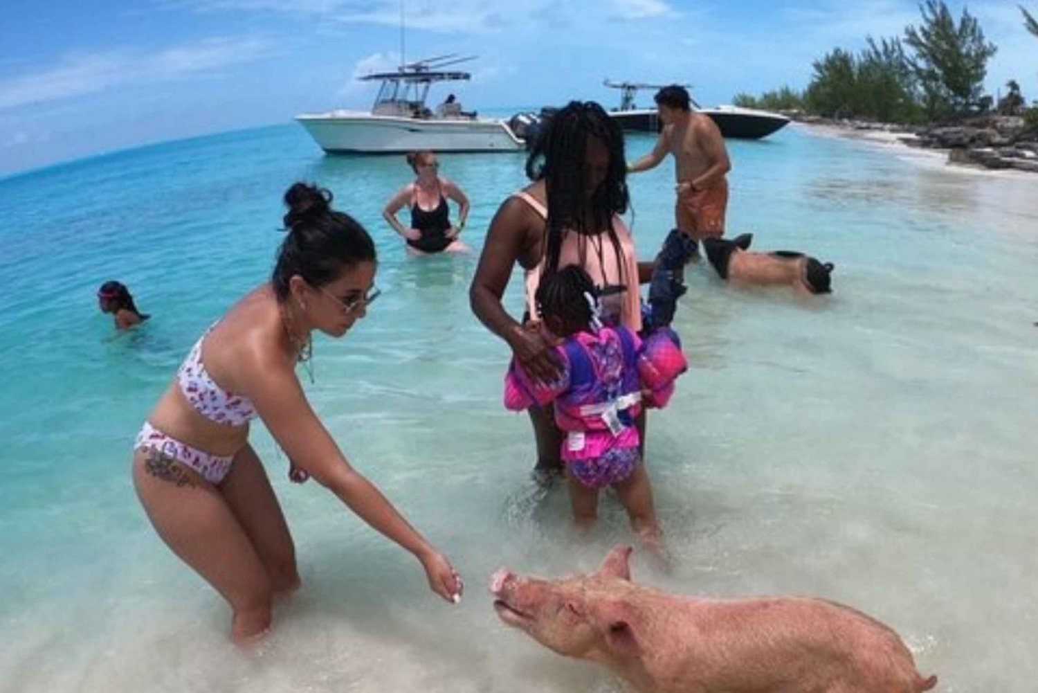 Private Swimming Pigs,Sea Scooter,Turtles And Peacock Island