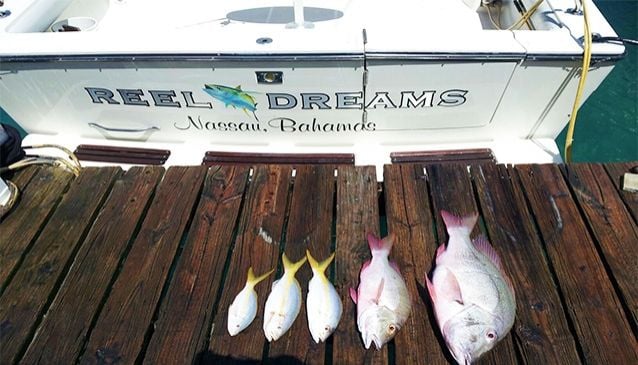 Reel Dreams Sport Fishing Charters