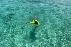 Tour dell'isola di Rose Island 3, 🚤 Snorkeling, 🐠 Tartarughe, 🐢 Maiali 🐖