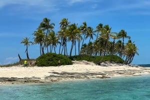 Excursión a las 3 islas de Rose Island,🚤Snorkel,🐠Tortugas,🐢 Cerdos 🐖