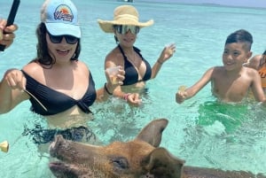 Rose Island 3 island tour,🚤Snorkelling,🐠Tortues,🐢 Pigs 🐖